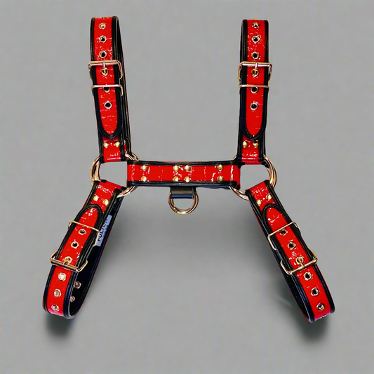 Crimson Inferno Crocodile Bulldog Men's Chest Harness