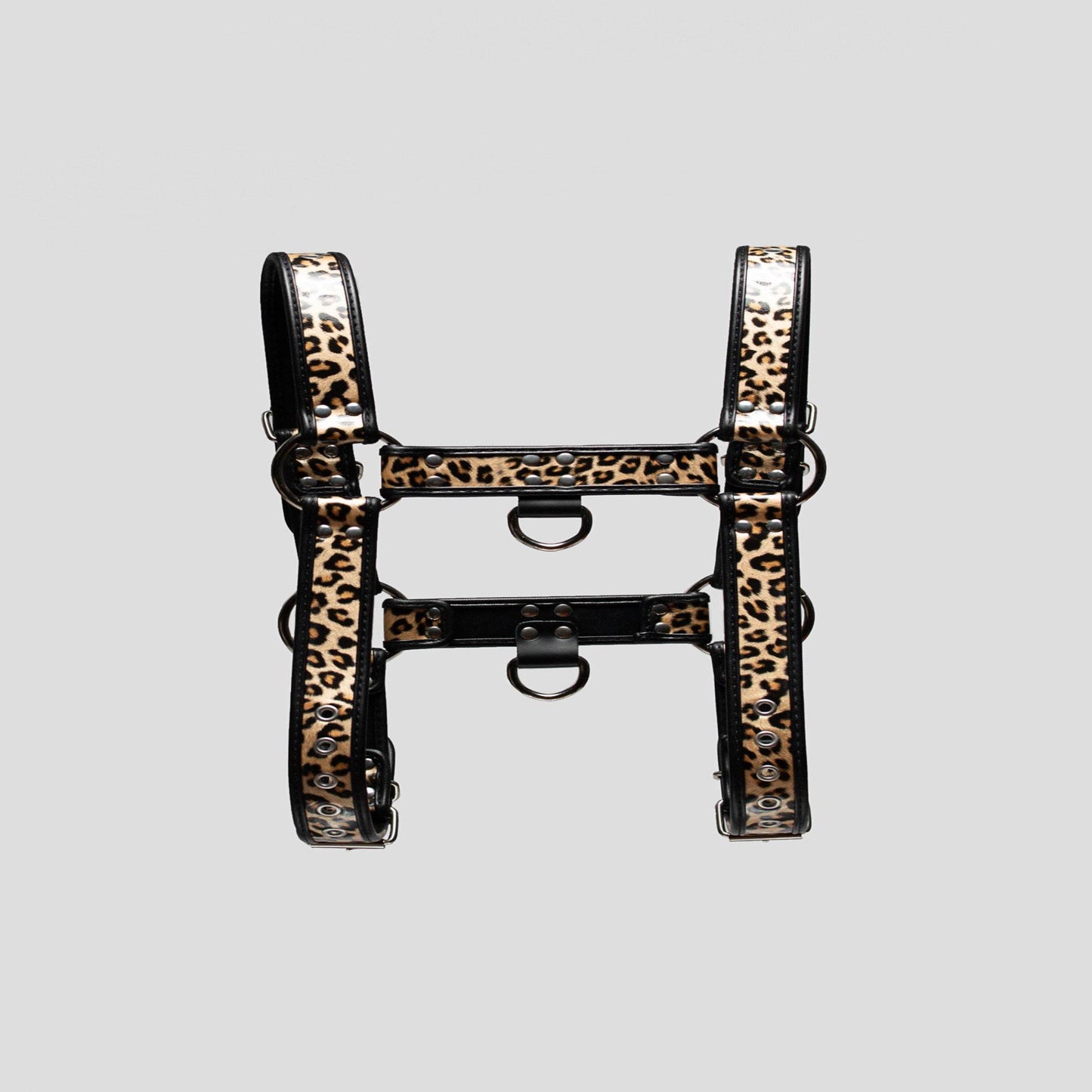 The WildOne Bulldog Harness back view