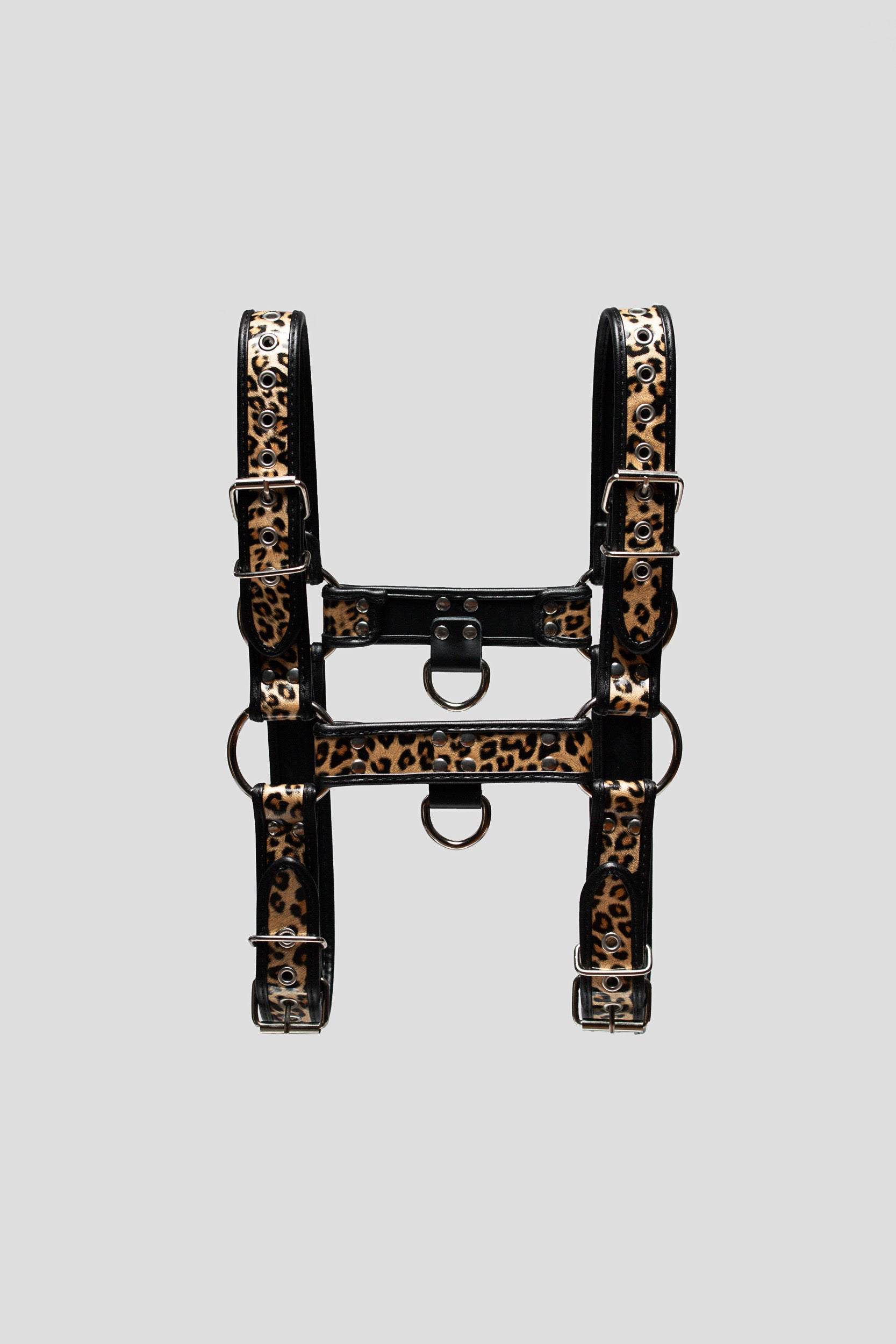 The WildOne Bulldog Harness