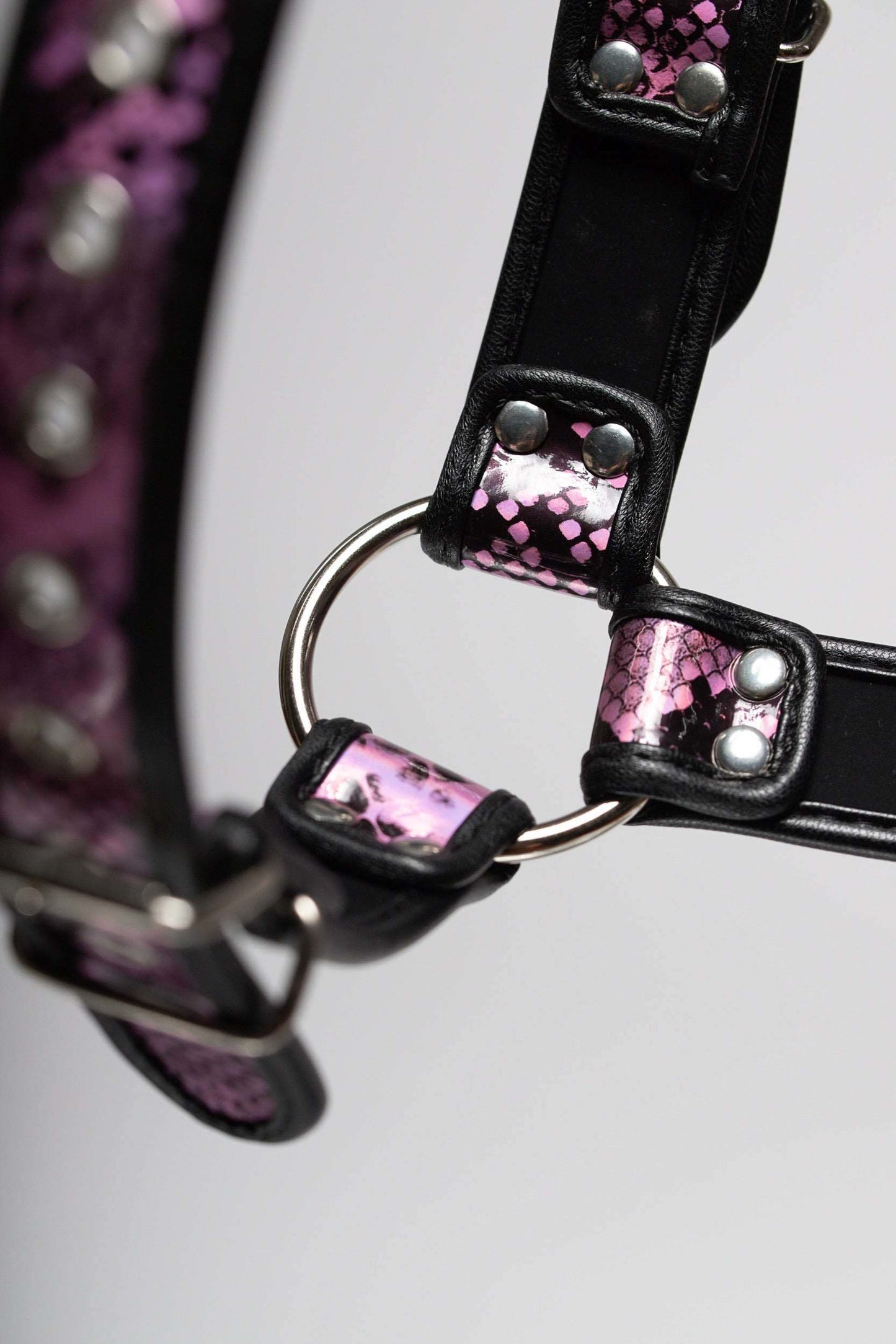 Seduction Snake Bulldog Harness