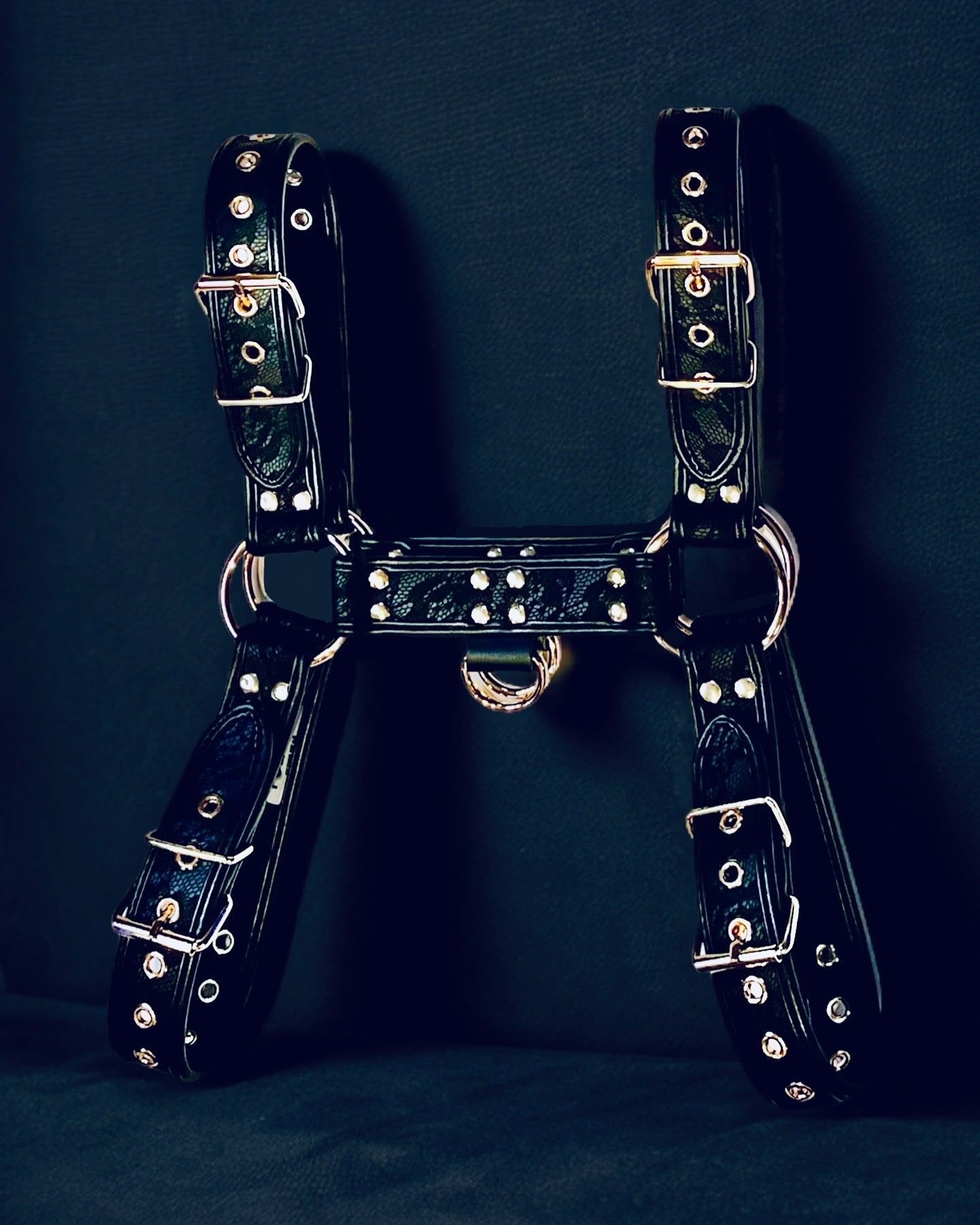 Mischievous Lace Leather Bulldog Harness