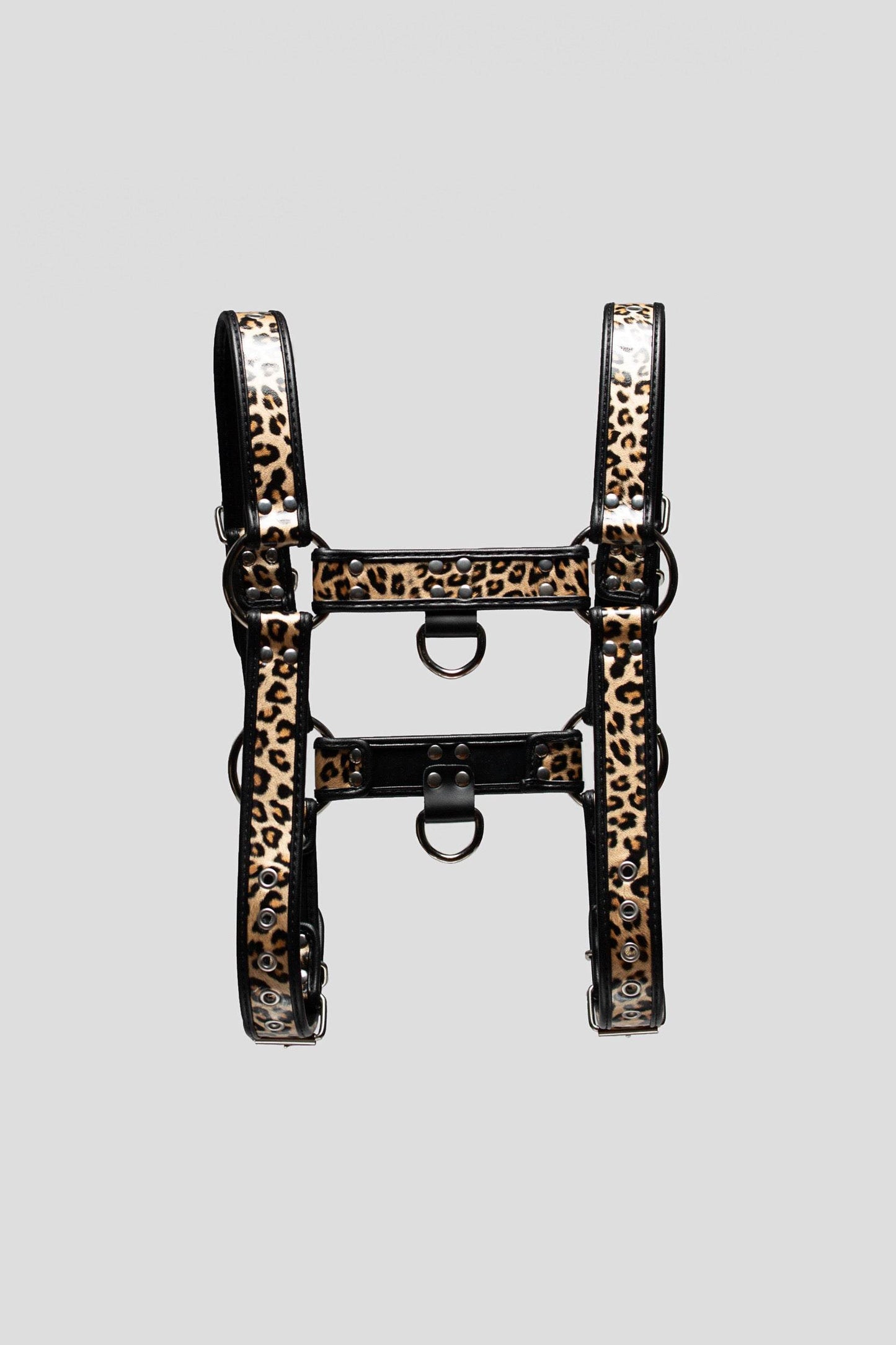 The WildOne Bulldog Harness