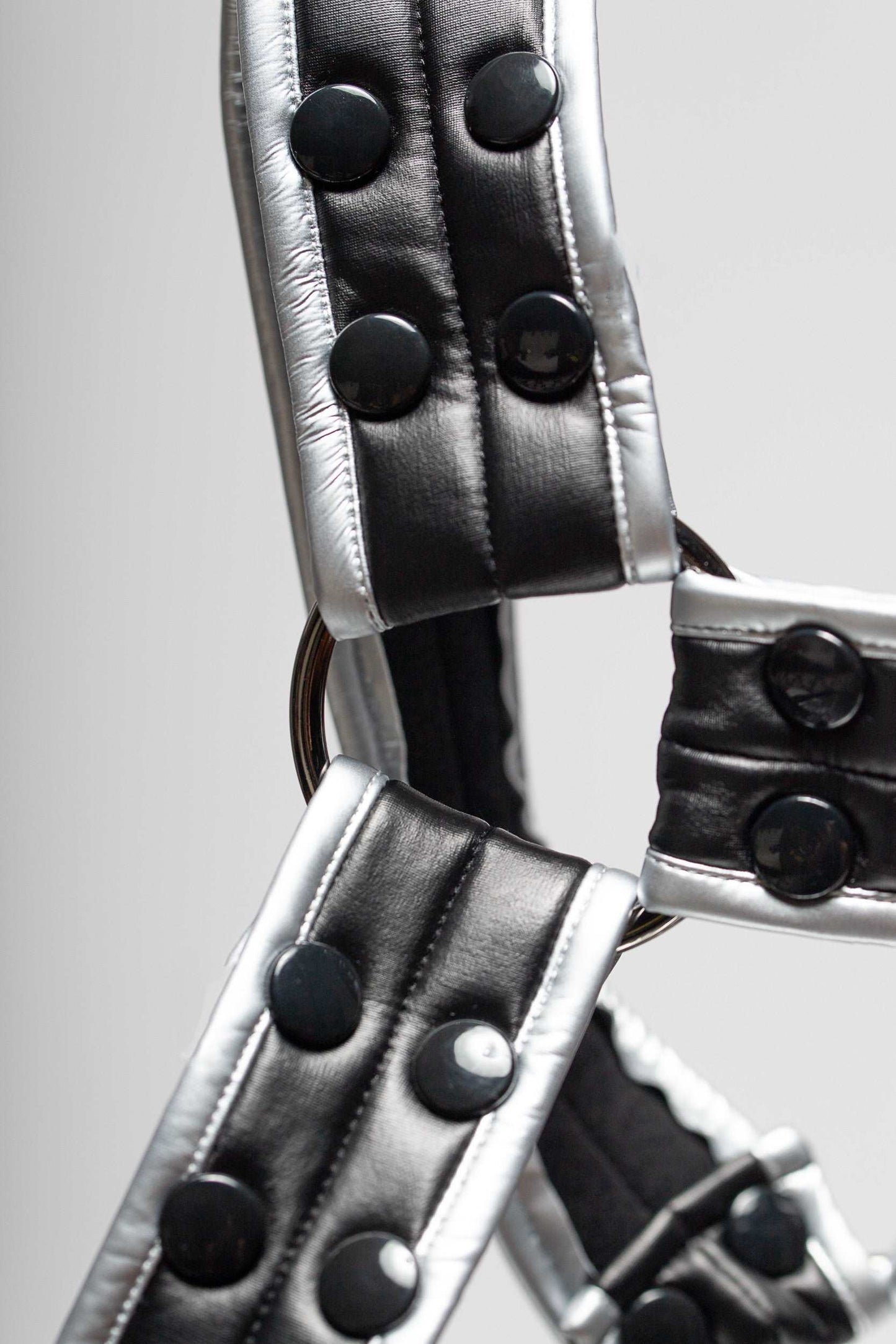 Dominator Harness Silver